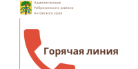 «Горячая линия» по вопросу «Защита прав потребителей при продаже детской одежды и игрушек, новогодних подарков». - Администрация Ребрихинского района